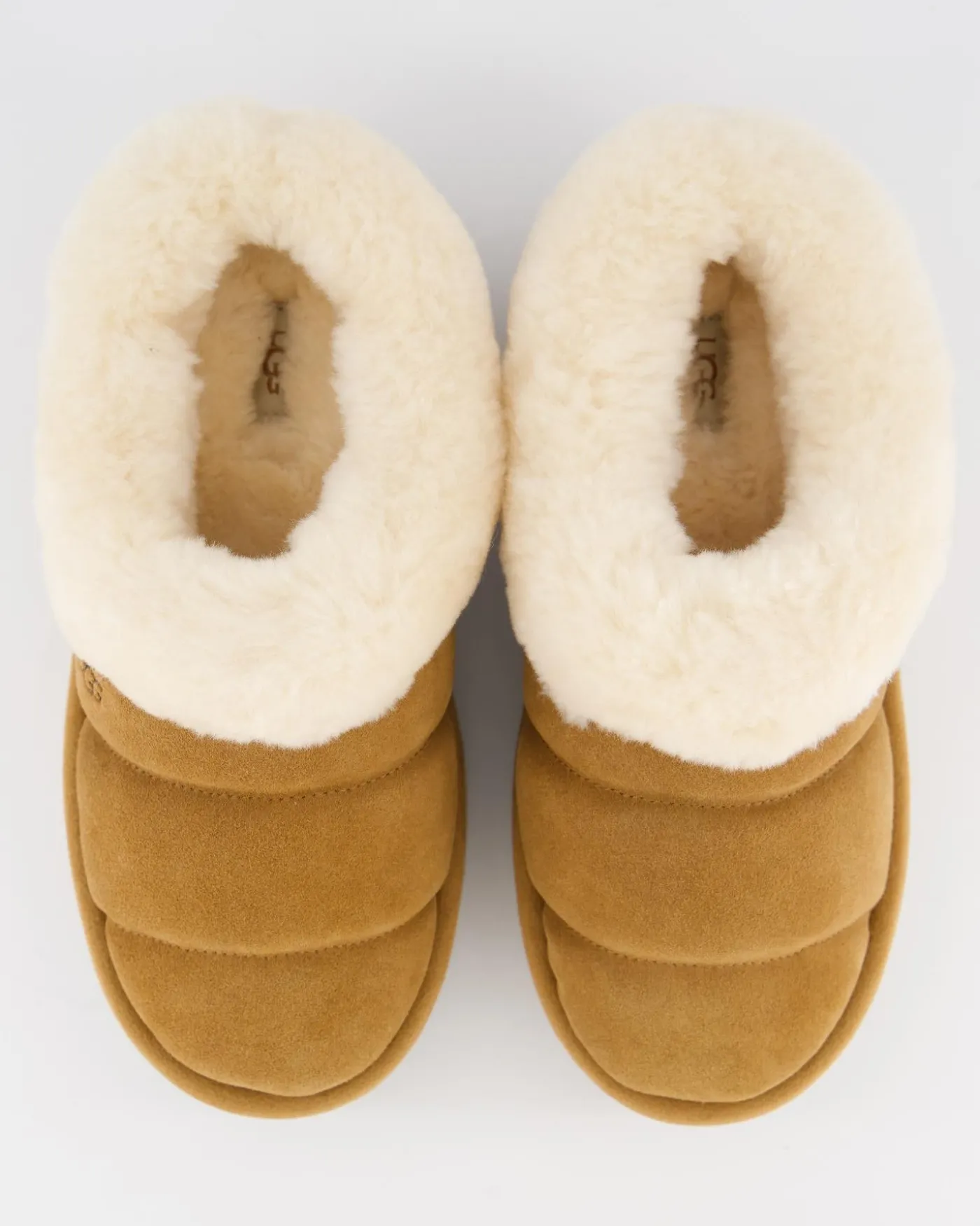 Dames Tazzlita Chestnut
