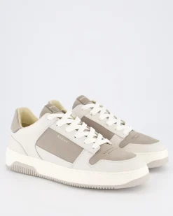 Heren Basket Rae Sneaker Grijs
