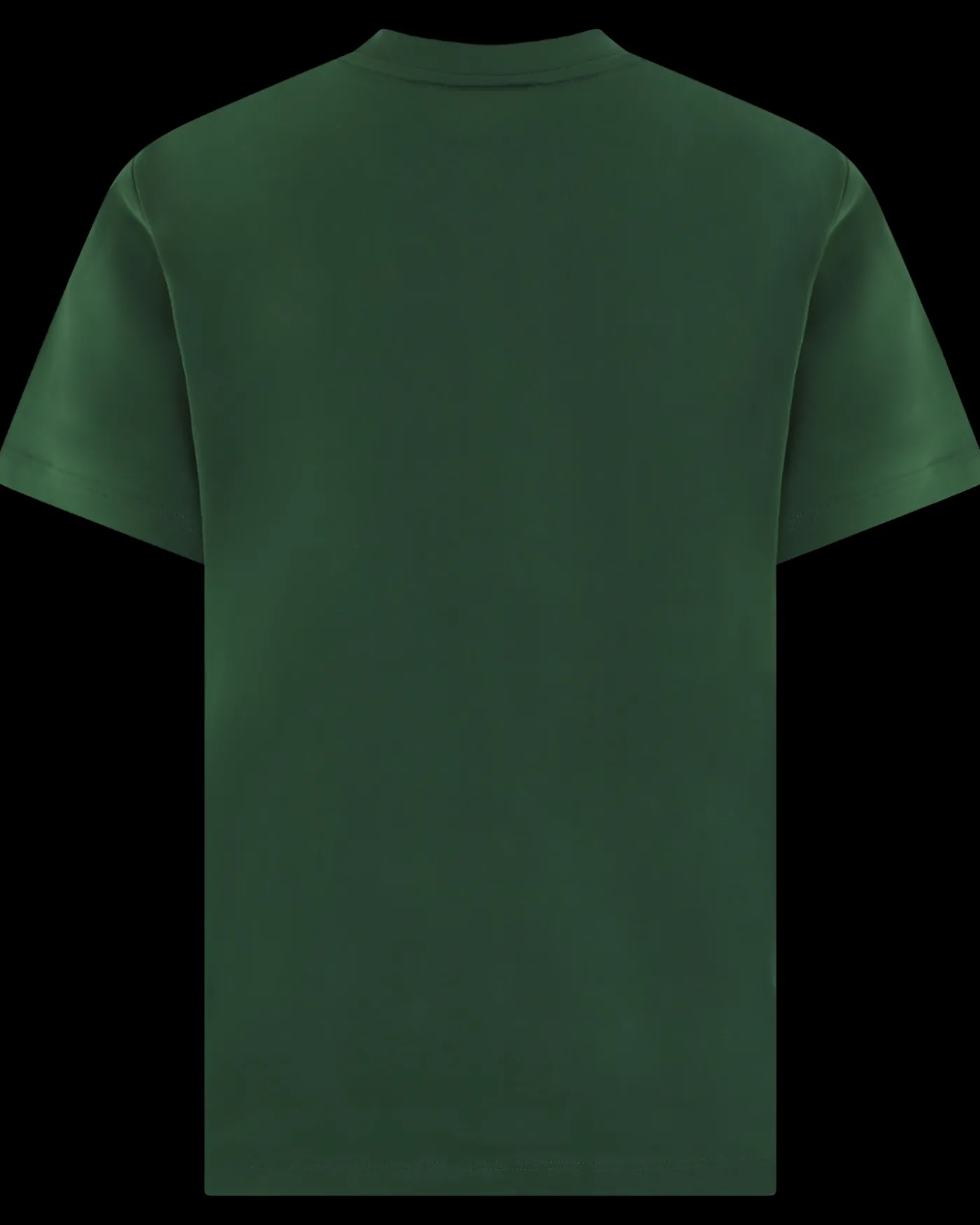 Heren 1Ht1 T-Shirt Groen