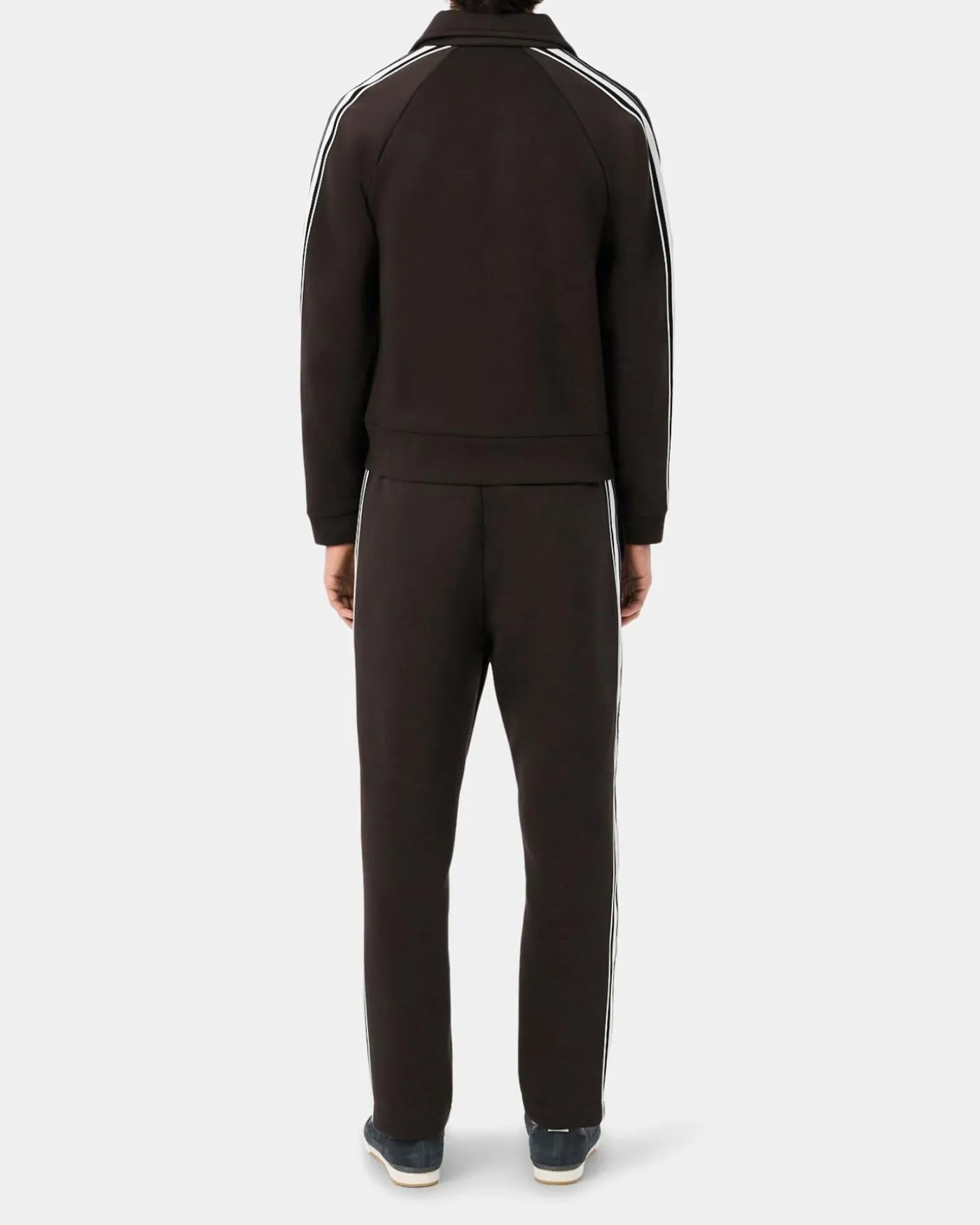 Heren 1Hw2 Tracksuit Trousers Bruin