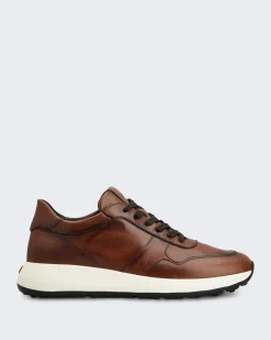 Heren Sportivo 79K Sneaker Bruin